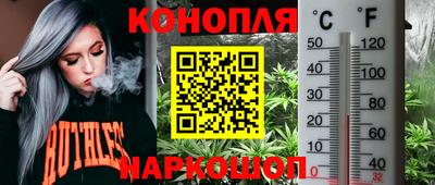 jwh Пенза