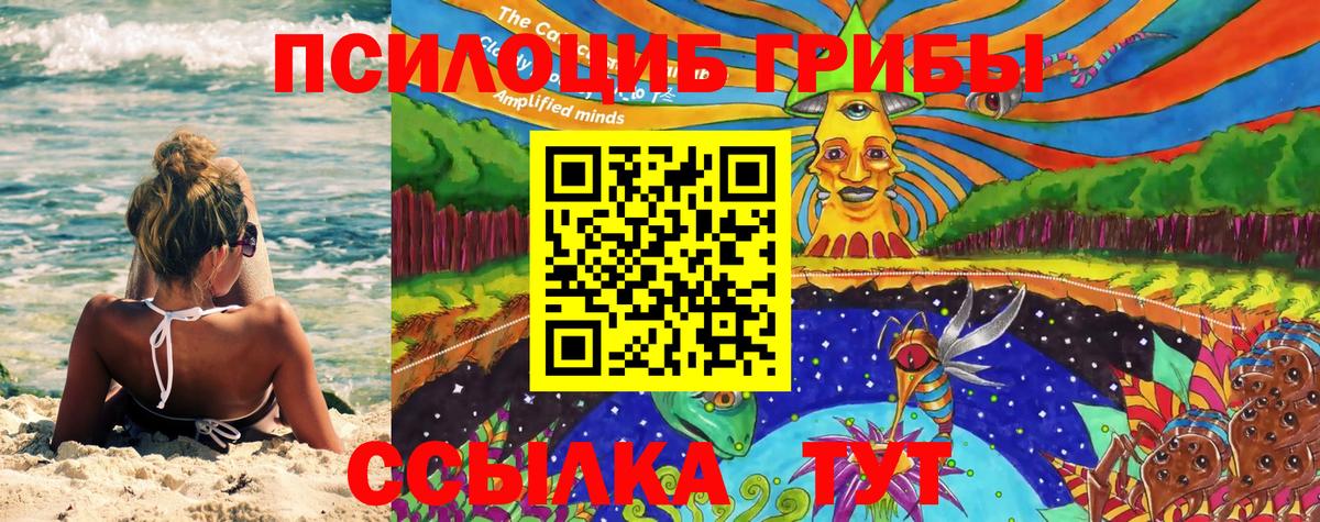 Псилоцибиновые грибы Cubensis  Вход с VPN  Рузаевка 