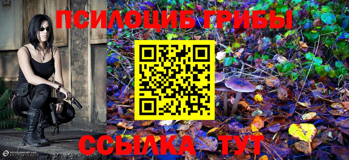 Галлюциногенные грибы ЛСД Рузаевка
